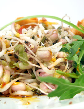 saladesoja